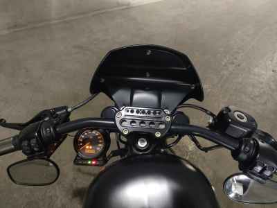 Harley-Davidson Sportster Iron XL883N 2019