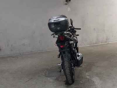 Suzuki GSX250R