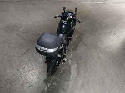 Suzuki GSX250R