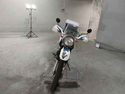 Suzuki Djebel 250GPS