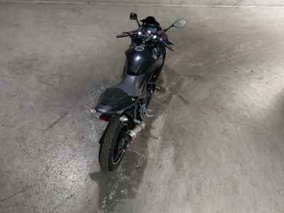 Suzuki GSX250R