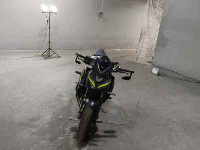 Kawasaki Z1000R 2017