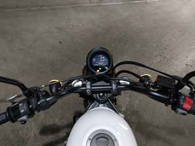 Honda CL250 2023