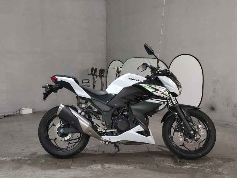 Kawasaki Z250 2014