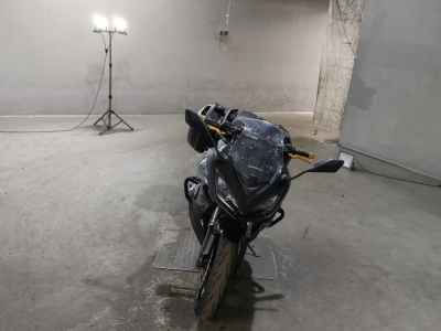 Kawasaki Ninja 1000 2019