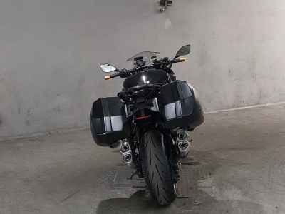 Kawasaki Ninja 1000 2019