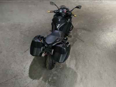 Kawasaki Ninja 1000 2019