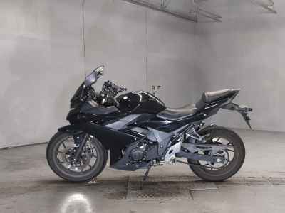 Suzuki GSX250R