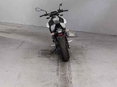 Suzuki GSX-8S 2024