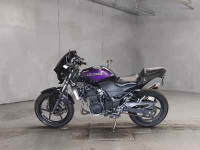 Kawasaki Ninja 250R 2009