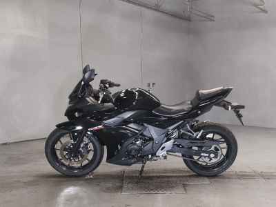 Suzuki GSX250R