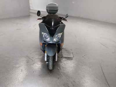 Honda Forza Z 2005