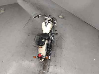 Yamaha XVS250 Drag Star