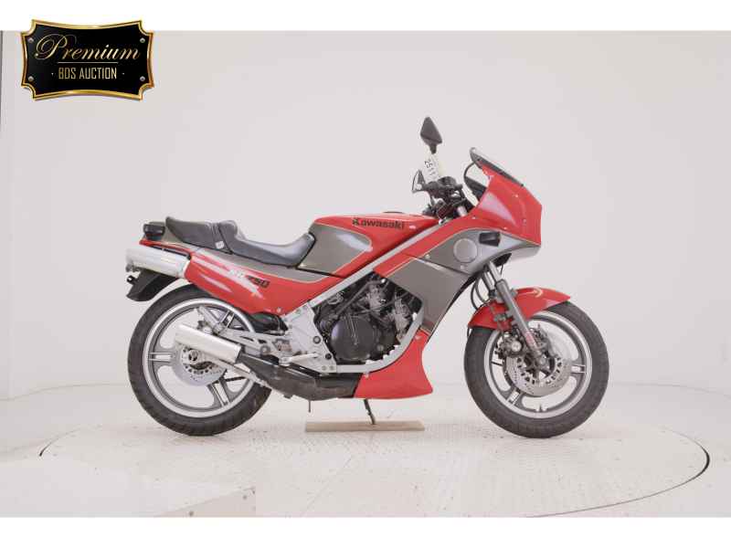 Kawasaki KR250