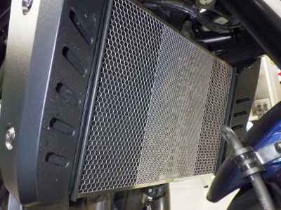 Honda Hawk 11 2022