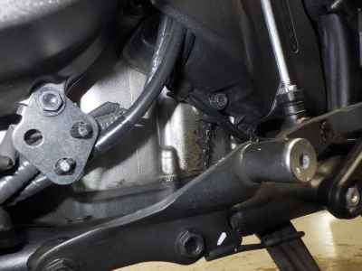 Honda Hawk 11 2022