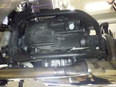 Honda Hawk 11 2022