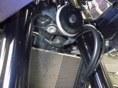 Honda Hawk 11 2022