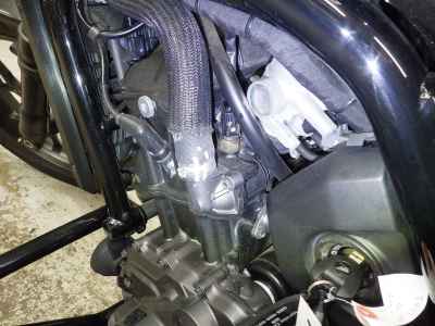 Honda Rebel CMX1100 DCT 2021