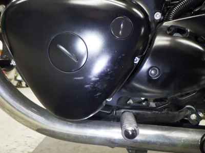 Kawasaki W800 2022