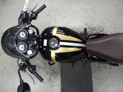 Kawasaki W800 2022