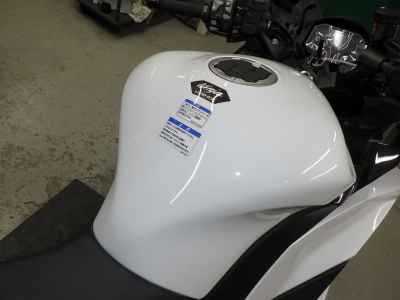 Kawasaki Ninja 1100SX 2025