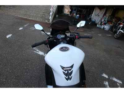 Kawasaki Ninja 1000 2013