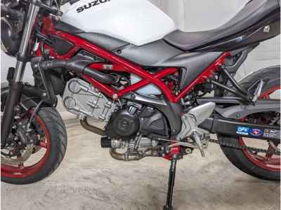 Suzuki SV650 2021