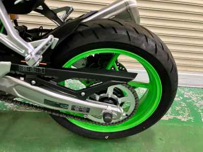 Kawasaki Ninja ZX-4RR 2024