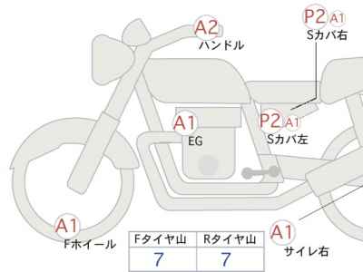 Triumph Bonneville T100 2024