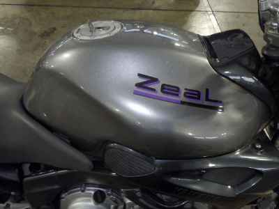 Yamaha ZEAL FZX250