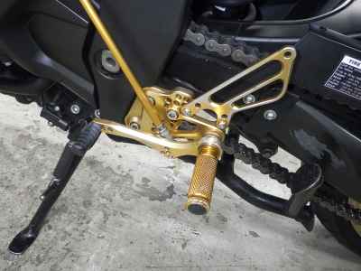 Yamaha FZ1 Fazer 2010