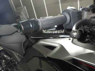 Kawasaki Ninja 1000SX 2025
