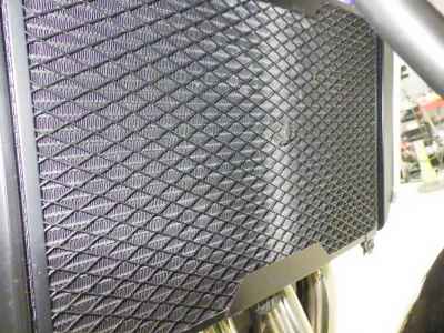 Kawasaki Z900RS 2023