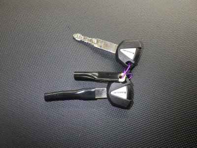 Kawasaki Ninja 1000SX 2025