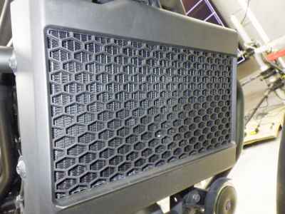 Honda Rebel S CMX250 2020