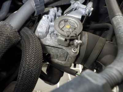 Honda Rebel CMX250 2019