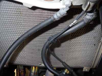 Kawasaki Ninja 1000SX 2024