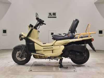 Honda PS250 Big Ruckus 2006