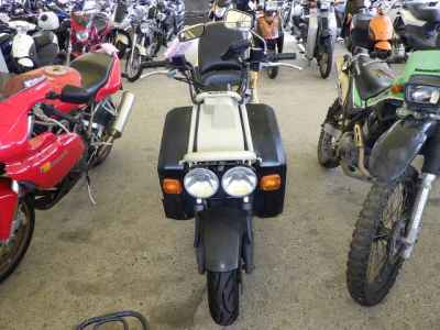 Honda PS250 Big Ruckus 2006