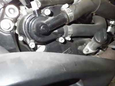 Yamaha Majesty 250 2014