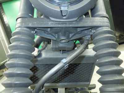 Honda Rebel CMX250 2022