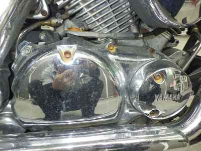 Yamaha XVS250 Drag Star 2005