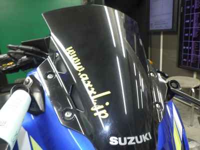 Suzuki GSX250R
