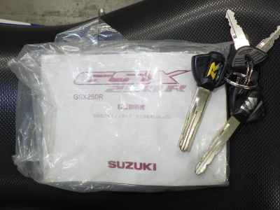 Suzuki GSX250R