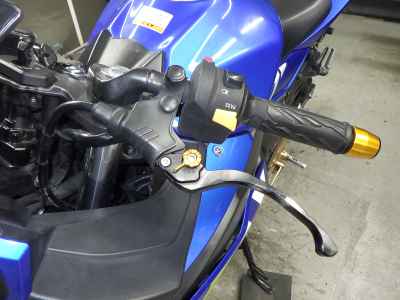 Suzuki GSX250R