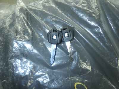 Suzuki V-Strom 250SX