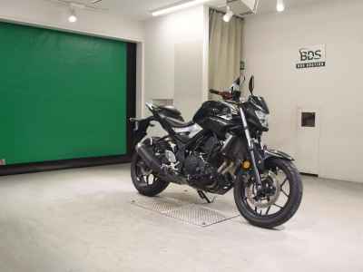 Yamaha MT-25 2016