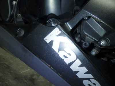 Kawasaki Ninja 1000 2019