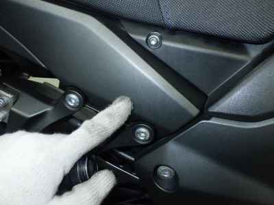 Kawasaki Ninja 1000 2019